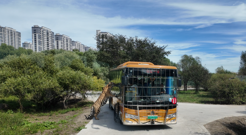 �й�KY��Ԫ(����)���޹�˾