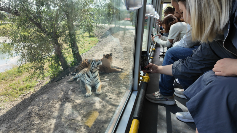 �й�KY��Ԫ(����)���޹�˾