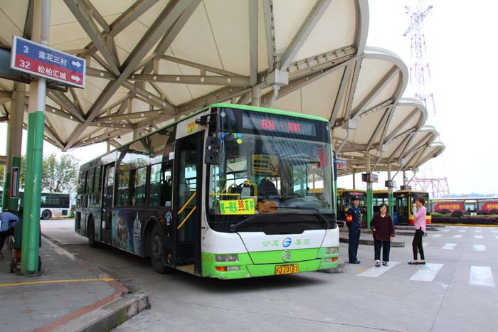 �ش����ͳ����� ���Ź���ѡʲô��