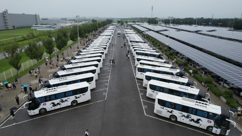 ͬ�Ļ�������ͨ�ڰ��������������������������ƻ�Ч�ͽ���