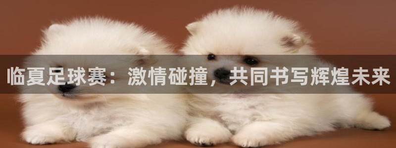 临夏足球赛：激情碰撞，共同书写辉煌未来