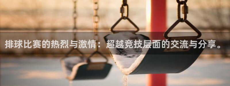 排球比赛的热烈与激情：超越竞技层面的交流与分享。