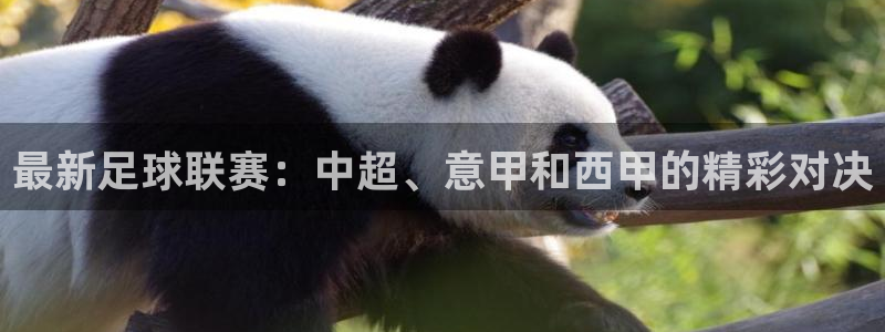 mk体育平台登陆：最新足球联赛：中超、意甲和西甲的精彩对决