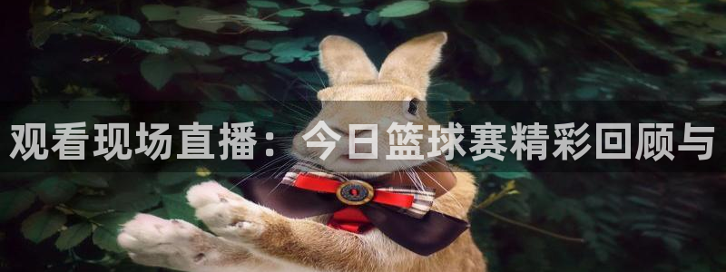 mK体育在线官网：观看现场直播：今日篮球赛精彩回顾与