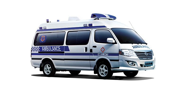 ��ʨ�Ȼ���